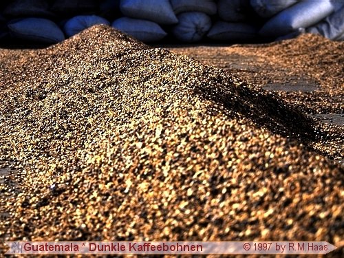 Dunkler Kaffee f&uuml;r das Inland