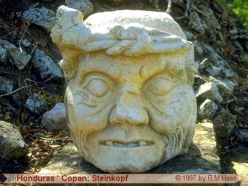 Gro&szlig;er Steinkopf