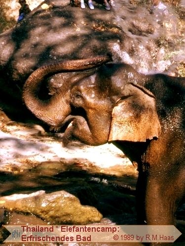 Bad im Fluss Bad im Fluss