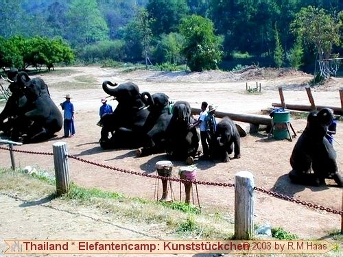 Kunststückchen Kunststückchen