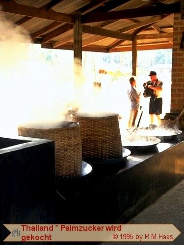 Palmzucker wird gekocht