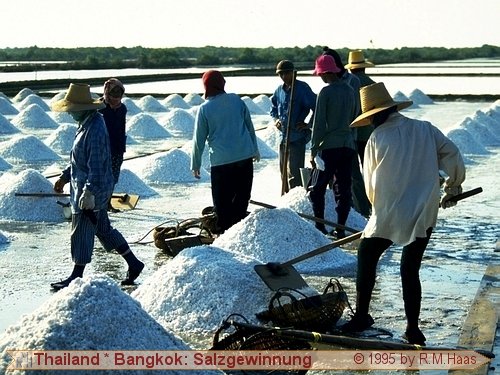 Salzgewinnung