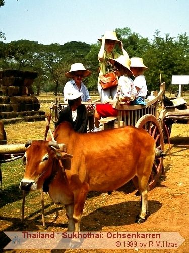 Sukhothai - Ochsenkarren Sukhothai - Ochsenkarren
