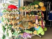 Pl&uuml;schschildkr&ouml;ten